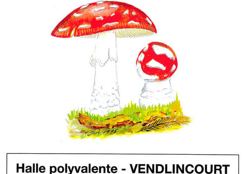 Exposition de champignons