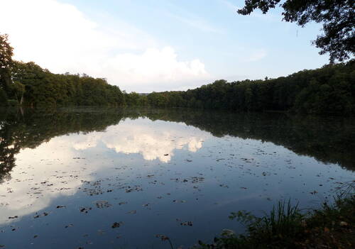 SAMSUNG CAMERA PICTURES