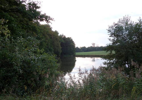 SAMSUNG CAMERA PICTURES