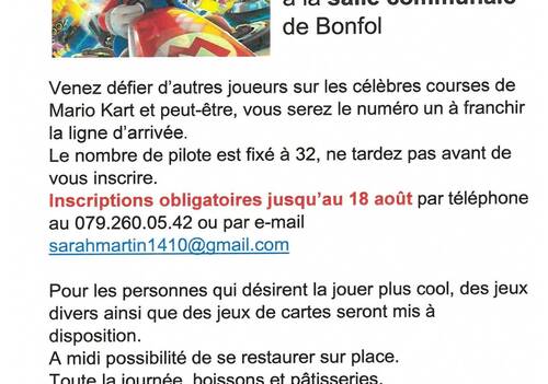 Mario Kart, le choc des pilotes