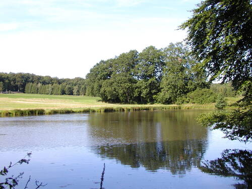 Etang du Milieu