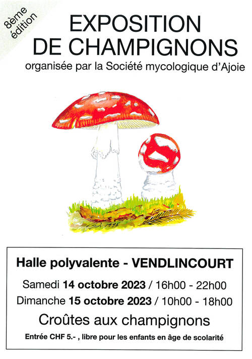 Exposition de champignons