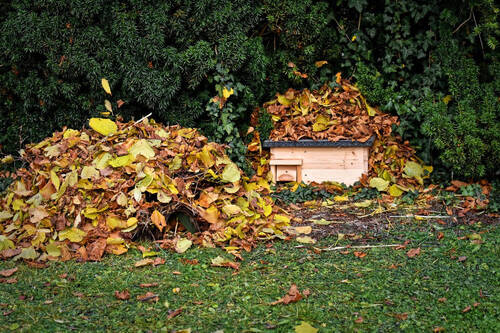 Déchets verts