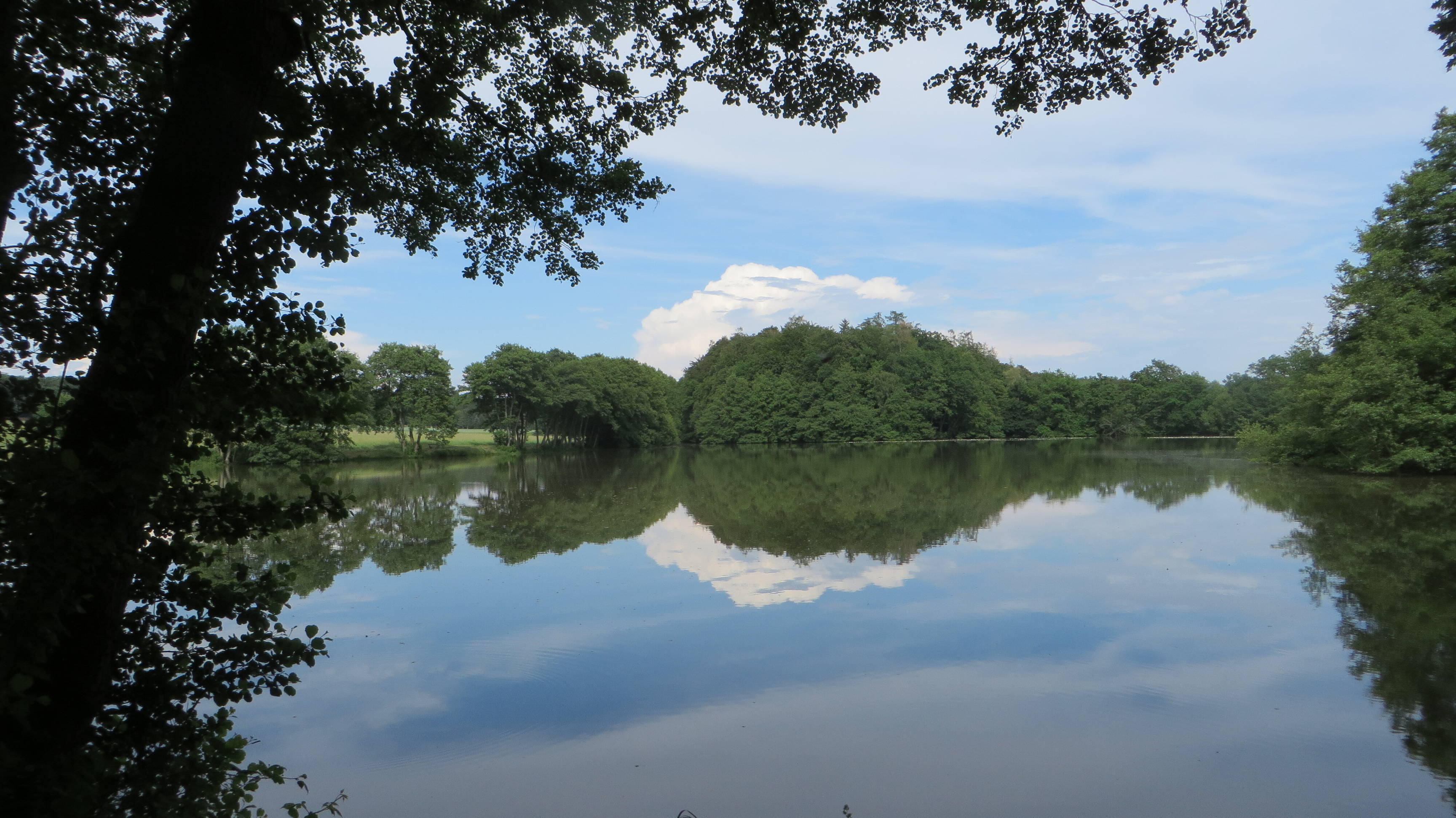 Etangs